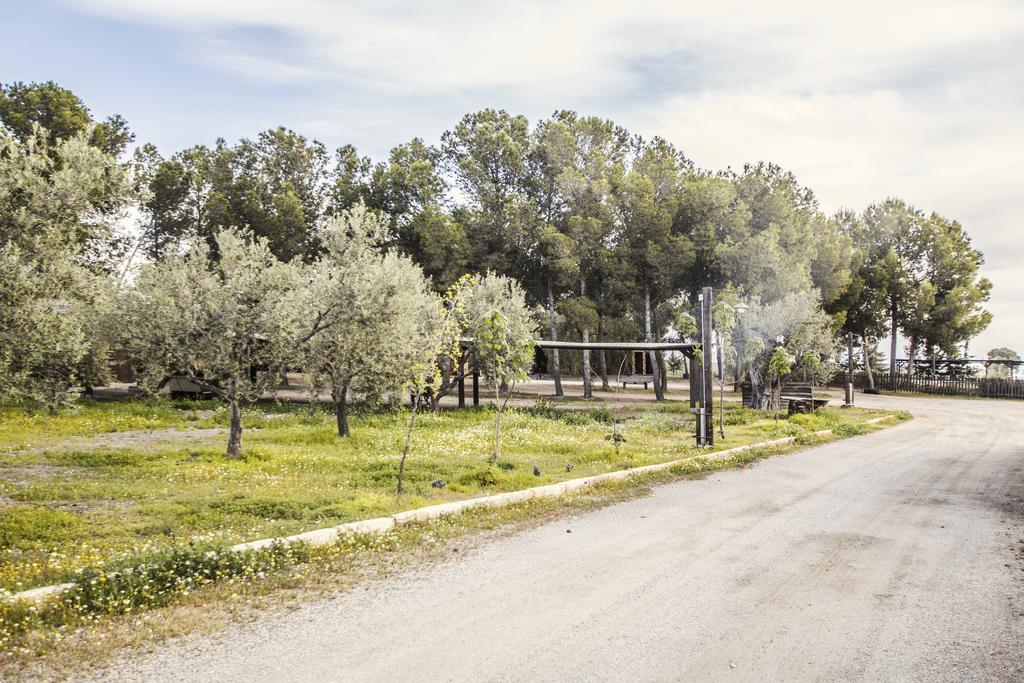 Alojamientos Rurales Los Albardinales タベルナス エクステリア 写真